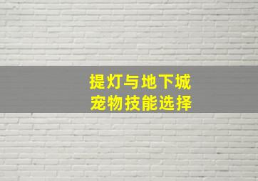 提灯与地下城 宠物技能选择